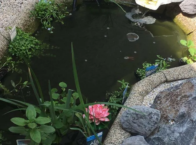 Ankerplatz Appartement *