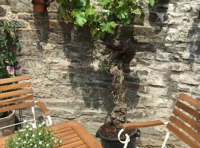 Ankerplatz Rieden (Mayen-Koblenz)